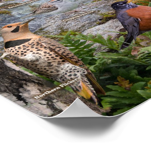 ミズーリの裏庭 ポスター (角)