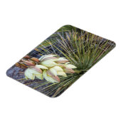 ミズーリ上部のソアプツリーユッカ花 マグネット (左側)