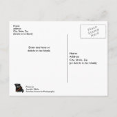 ミズーリ太陽の食 ポストカード (裏面)