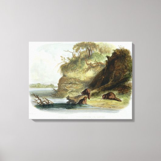 ミズーリ州のビーバーハット、プレート17から第1巻 キャンバスプリント (正面)