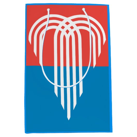 ミズーリ州カンザスシティー州旗 ミディアムペーパーバッグ (正面)