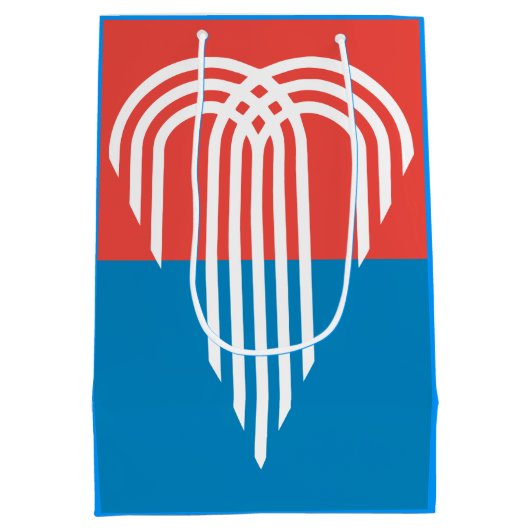 ミズーリ州カンザスシティー州旗 ミディアムペーパーバッグ (裏面)