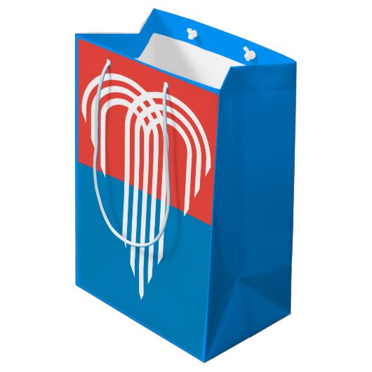 ミズーリ州カンザスシティー州旗 ミディアムペーパーバッグ (裏面アングル)