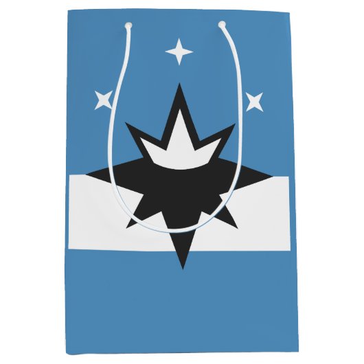 ミズーリ州スプリングフィールド国旗 ミディアムペーパーバッグ (正面)