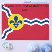 ミズーリ州セントルイス州旗を持つフライヤー チラシ (シングル)