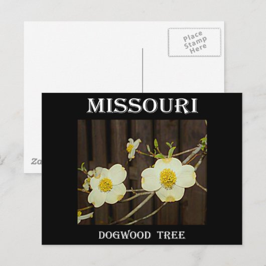 ミズーリ材 ポストカード (正面/裏面)
