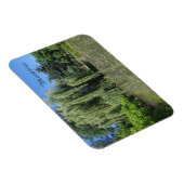 ミズーリ枝垂れ柳オンポーン マグネット (右側)