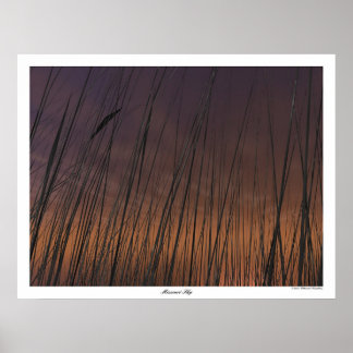 ミズーリ空 ポスター