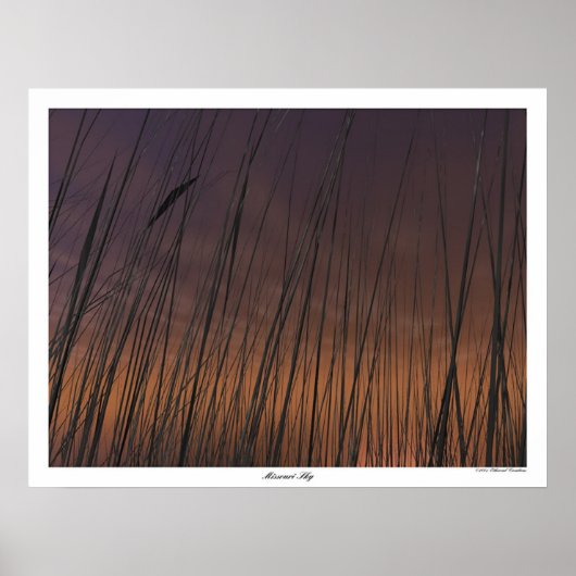 ミズーリ空 ポスター (正面)