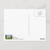 ミズーリ考えキャピトルの葉書 ポストカード (裏面)