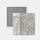 ミズーリ，ビックスバーグ マグネット (正面/裏面)