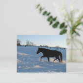 ミズーリ・フォクストロッター ポストカード (スタンド正面)