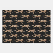 ミズーリ ラッピングペーパーシート (正面)