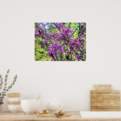 ミズーリ・レッドバッドの花の木の写真ポスター ポスター (キッチン)