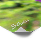 ミズーリ・レッドブドの花の木の写真ポスター ポスター (角)