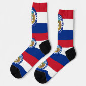 ミズー地球に優しリ州旗を持つ女性用靴下 ソックス (左)