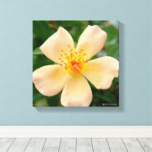 ミセス・オークリー・フィッシャーバラ キャンバスプリント (インサイチュ (ウッドフロア))