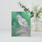 ミセス・（鳥）ショウジョウコウカンチョウ ポストカード (スタンド正面)