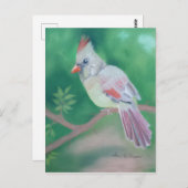 ミセス・（鳥）ショウジョウコウカンチョウ ポストカード (正面/裏面)