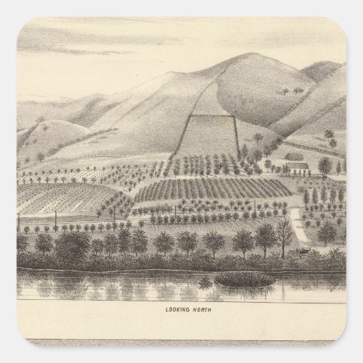 ミゼントップランチョ スクエアシール (正面)