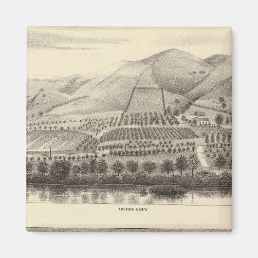 ミゼントップランチョ マグネット (正面)