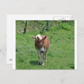 ミソウリミュール ポストカード (正面/裏面)