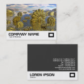 ミダスランド 名刺 (正面/裏面)