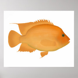 ミダス ポスター