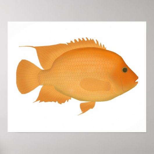 ミダス ポスター (正面)