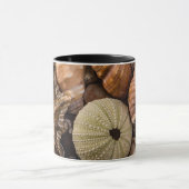 ミックスシーシェルマグ マグカップ (中央)