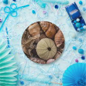 ミックスシーシェル紙プレート ペーパープレート (パーティー)