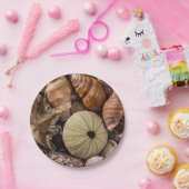 ミックスシーシェル紙プレート ペーパープレート (パーティー)