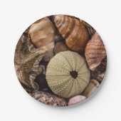 ミックスシーシェル紙プレート ペーパープレート (正面)