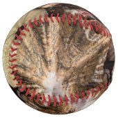 ミックスシーシェル野球 ソフトボール (正面左)