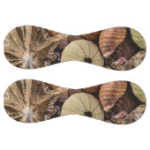 ミックスシーシェル野球 ソフトボール (パネル)