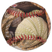 ミックスシーシェル野球 ソフトボール (裏面)