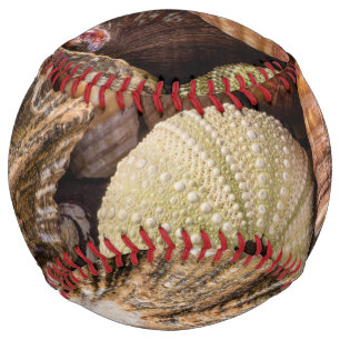 ミックスシーシェル野球 ソフトボール