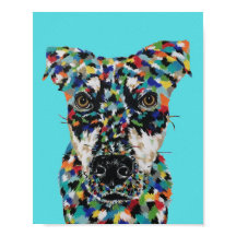 ミックス犬