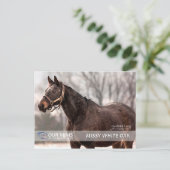 ミッシホワイトオーク葉書 ポストカード (スタンド正面)