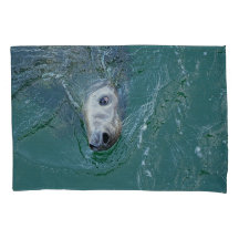 ミッションにおけるグレーシール