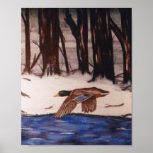 ミッションに参加したマラードアヒル