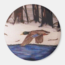 ミッションに参加したマラードアヒル