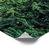 ミッションサンルイスオビスポデトロサ ポスター (角)