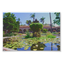 ミッションSan Juan Capistrano Water Lilies, Calif