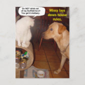 ミッシーが家のルールを決める ポストカード (正面)