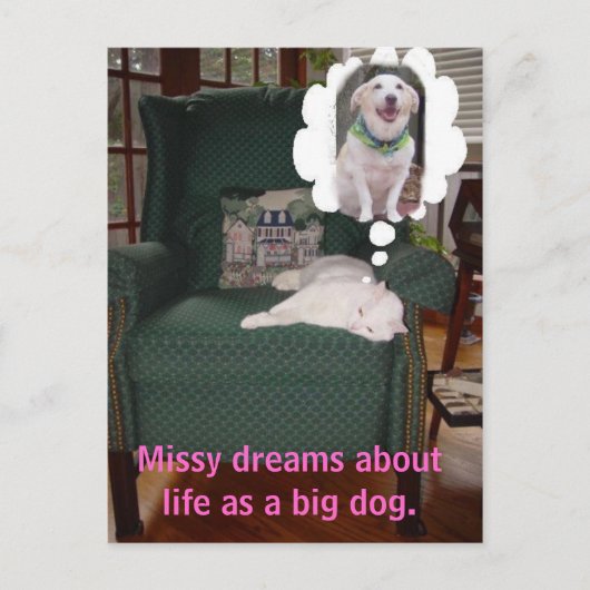 ミッシーは大きな犬としての人生を夢見る。 ポストカード (正面)