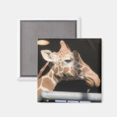 ミッシー磁石#1 マグネット (正面/裏面)