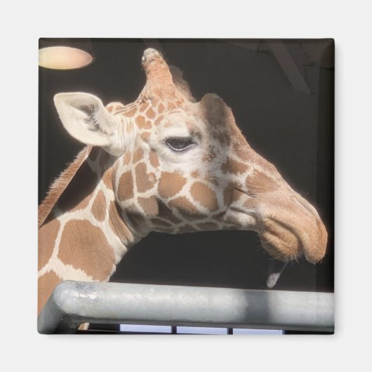 ミッシー磁石#1 マグネット (正面)