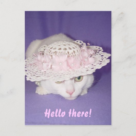 ミッシー魅力的 ポストカード (正面)