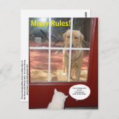 ミッシー・ルール！ ポストカード (正面/裏面)